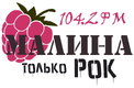 Логотип компании «Радио Искатель»